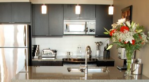 Juliet 1103 Kitchen